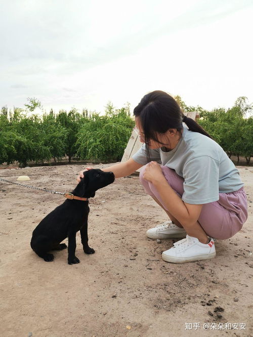 家里有果园是什么体验