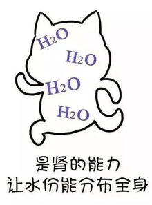 湿气除了让你变胖,还有这么多坏处祛湿方法