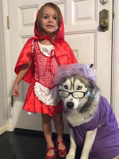 搞笑gif让小孩子来告诉我们吃饭和睡觉谁更重要那同学