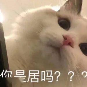 听说女孩子用叠词很可爱