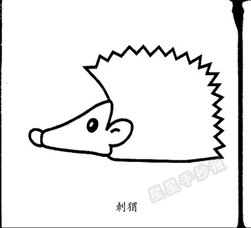 刺猬简笔画图片步骤教程