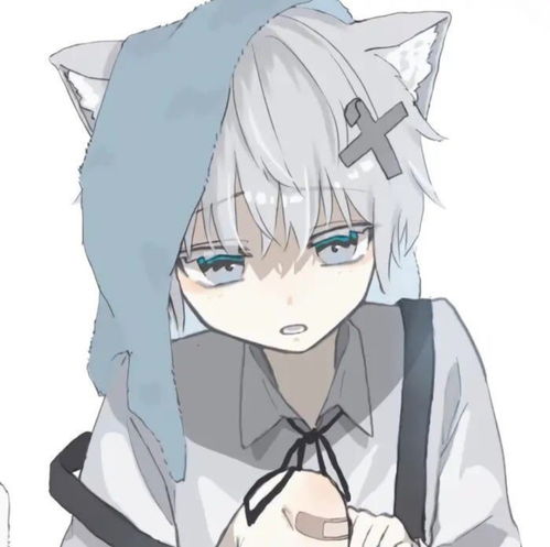 这么可爱的正太动漫男头有谁能抵抗的住呢