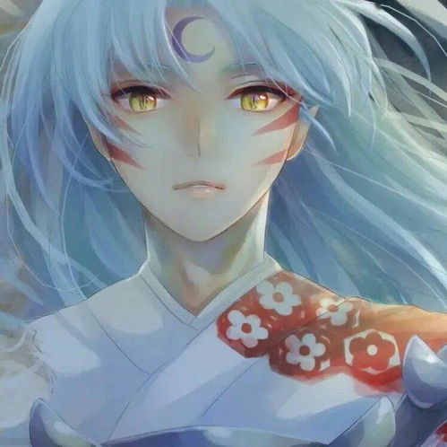 宝藏动漫头像