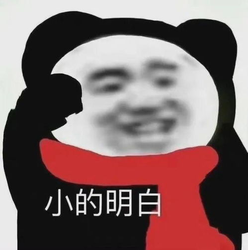 打工人常用表情包