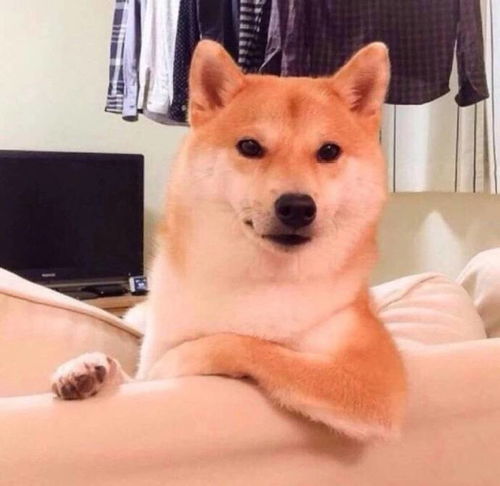 越看越上头的沙雕朋友圈文案