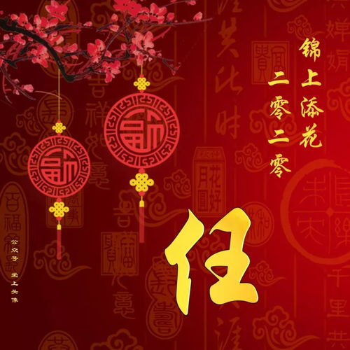 姓氏头像,二零二零锦上添花有你的姓吗