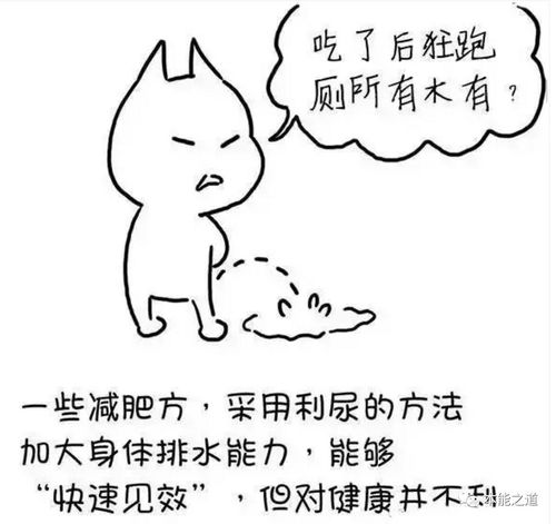 脾湿如何导致肥胖,一图秒懂