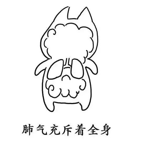 湿气是怎样形成的,看完秒懂