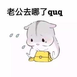 仓鼠老公老婆表情包