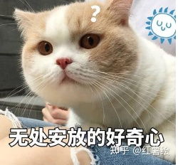 一键在线生成微信漫画卡通风头像,看看二次元的你长什么样子