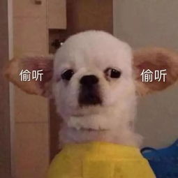 吸欧气强迫症怎么治不用吃药看神医,欧皇帮你一次根治