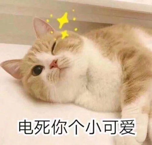 有哪些适合在撒娇时使用的表情包