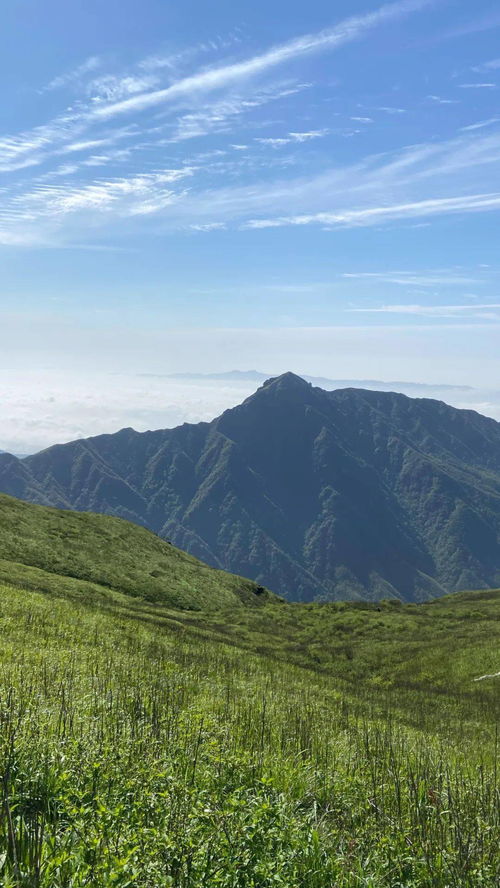 别跑给我看看武功山的草甸,现在究竟有多绿呢