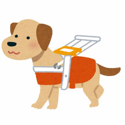 遛狗牵绳咬伤抓伤养猫养狗的人卡通插画免扣素材手绘png295职业社会职场生活