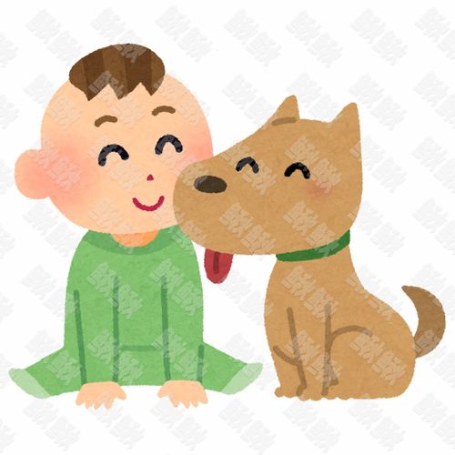 和婴儿在一起玩的很好的小狗狗猫咪小猫手绘卡通插画手绘png儿童插画免扣素材2阿猫阿狗