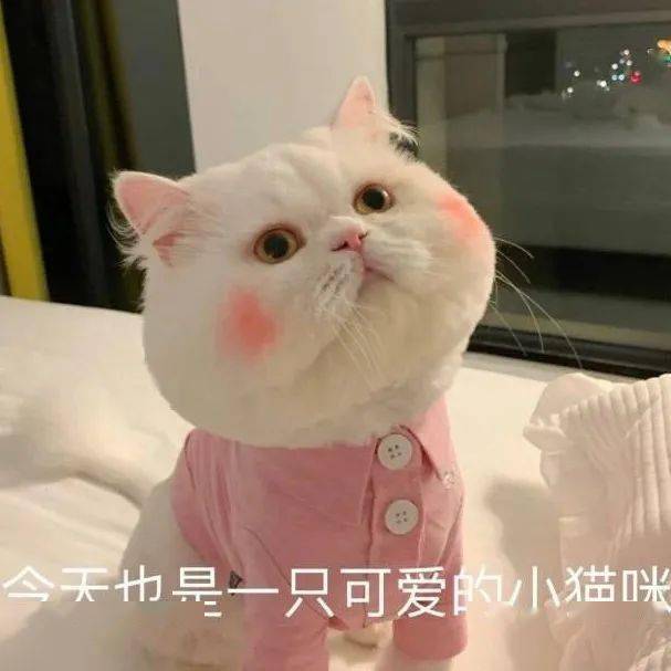 素人颜值大赏被神仙美颜沦陷了...
