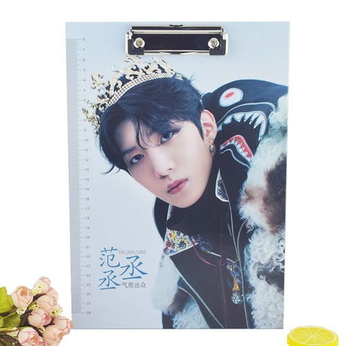 tfboys范丞丞明星动漫文件夹木质木制垫板书写板办公学生用夹板