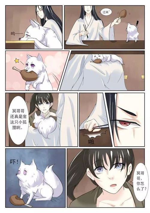 穿越来的小狐狸精,左手斗心机婊,右手掐白莲花