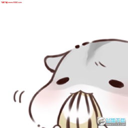 hamham小仓鼠头像第三季下载飞翔下载