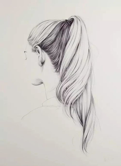 零基础素描从入门到精通pdf素描零基础入门教程百度云