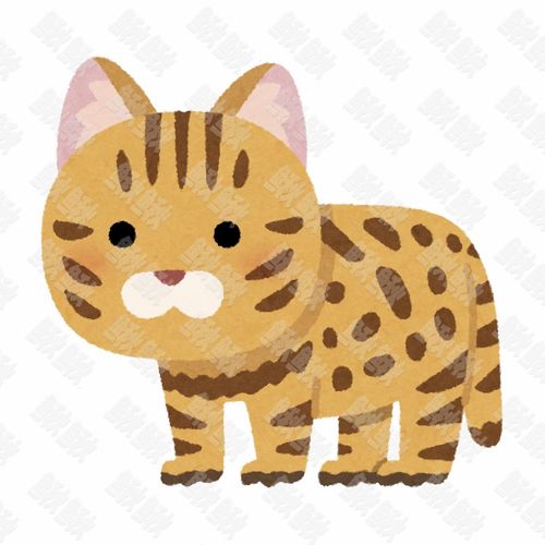 虎斑豹猫的写实插画的小猫猫咪手绘卡通插画手绘png儿童插画免扣素材1阿猫阿狗