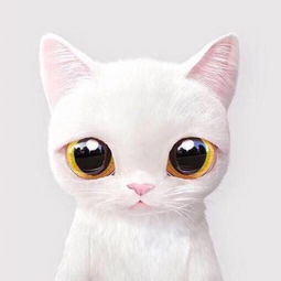 星梦肥猫
