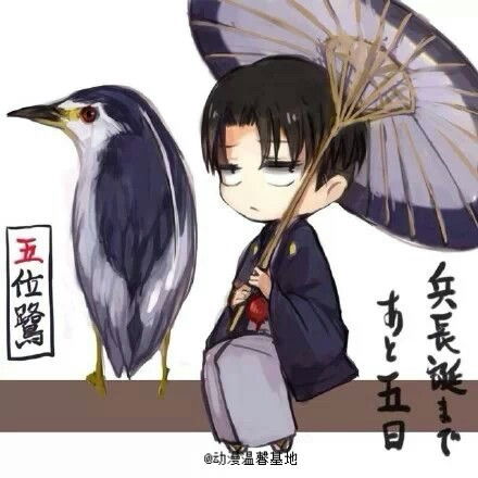 进击的巨人萌萌的小鸟,萌萌的兵长转堆糖,美好生活研究所