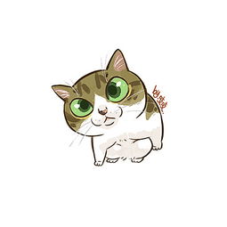 上半年画的一些猫咪头像