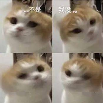 憨憨表情包爷i了