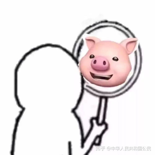 你的婉儿会飞吗反正我的是不会的