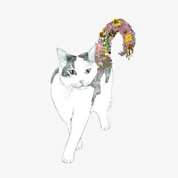 花尾巴猫咪素材图片免费下载高清卡通手绘png千库网图片编号4583141