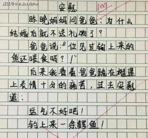 小学生名侦探作文走红,揭老爸秘密暗示妈妈,网友太有才