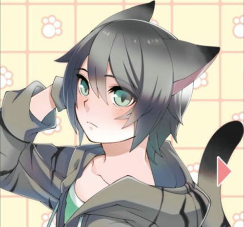猫耳少年育成汉化版