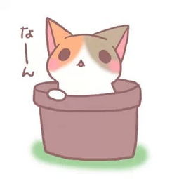 求这只猫的图片越多越好