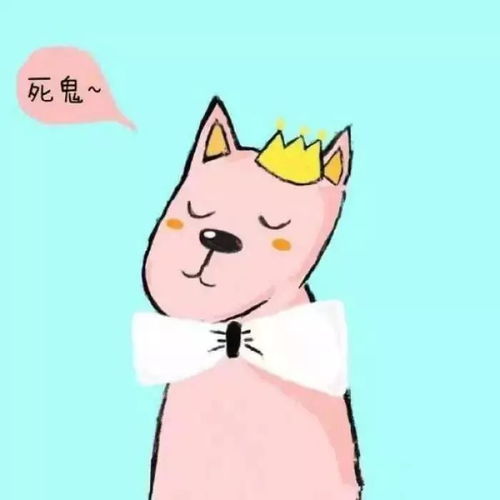 情侣头像有种爱,叫情难自已
