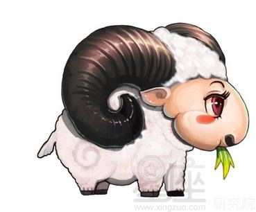 属羊生虎宝宝好不好