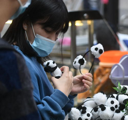 视频成都街头猫粉把大熊猫穿在身上戴在头上特别潮