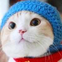 鸭子摸头卡通图片