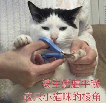 格局到底是什么