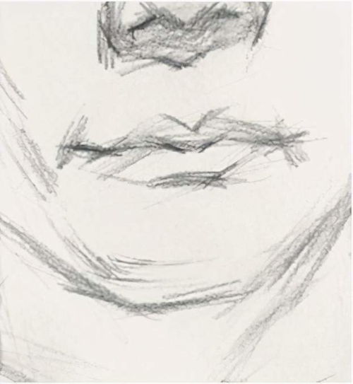 图南画室丨男青年正面素描头像教学讲解丨联考校考素描头像高分卷