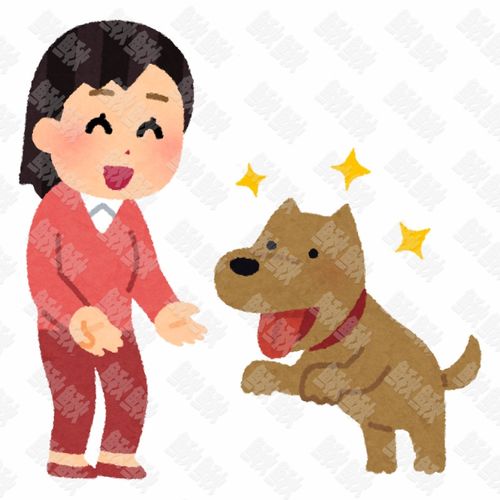 亲近和女主人关系特别好的小狗狗猫咪小猫手绘卡通插画手绘png儿童插画免扣素材2阿猫阿狗