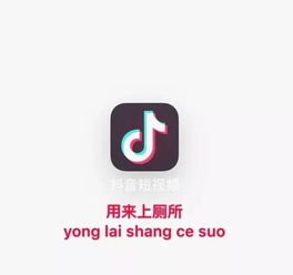 论app的正确使用方式简直是我的真实写照哈哈哈