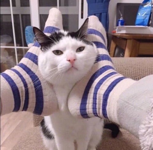 timthumb