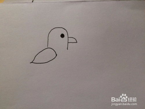 儿童卡通小鸟的画法