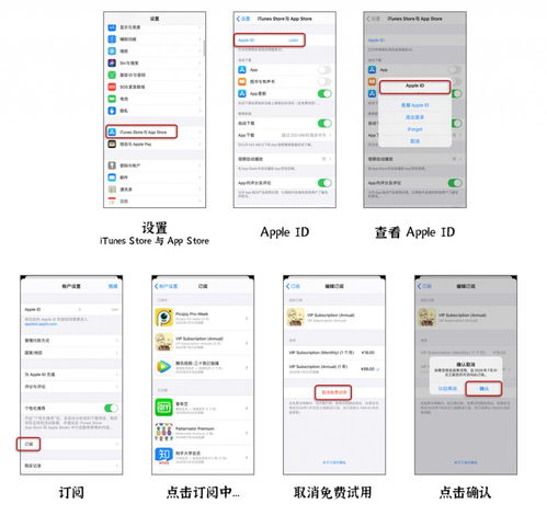 自拍照生成漫画,我推荐这6个软件