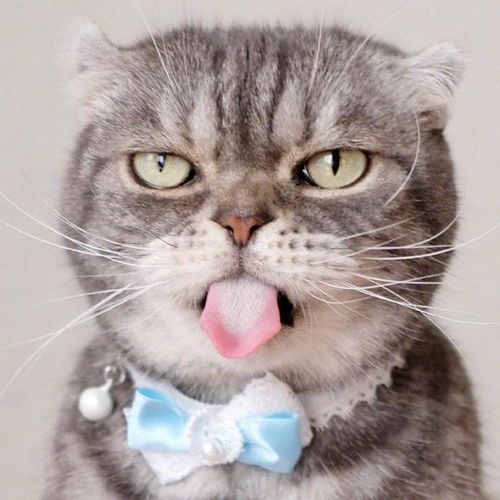 我在acfun听情歌