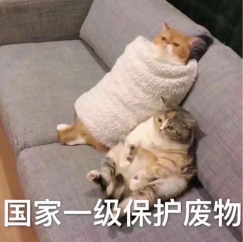 接吻了但没有表白,不知道该怎么往下推动关系了