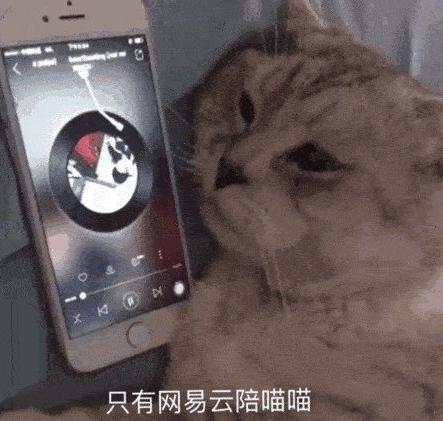 还在网抑云吗这些动漫专治抑郁症