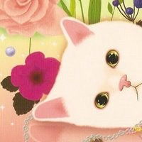 一个妹子和一只猫趴在桌子上的头像