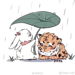 求这几张原图